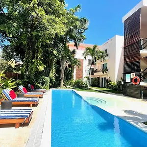 Centro Playa Carmen , Playa del Carmen México